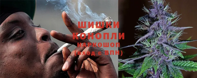 Конопля SATIVA & INDICA  Алексеевка 